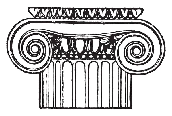 Capital Grega Templo Athena Polias Arquitetura Uma Gravura Século Xix —  Vetores de Stock