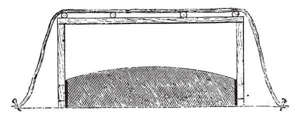 Esta Ilustración Representa Protección Debe Darse Las Camas Setas Exteriores — Archivo Imágenes Vectoriales