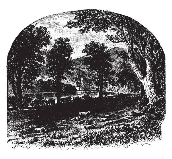 Esta Ilustración Representa Meadows Que Hábitat Campo Vegetado Por Hierba — Archivo Imágenes Vectoriales