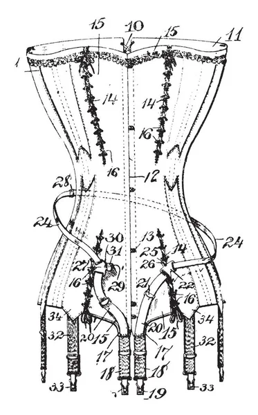 Vrouwelijk Kledingstuk Een Artikel Van Kleding Vintage Lijntekening Gravure Illustratie — Stockvector