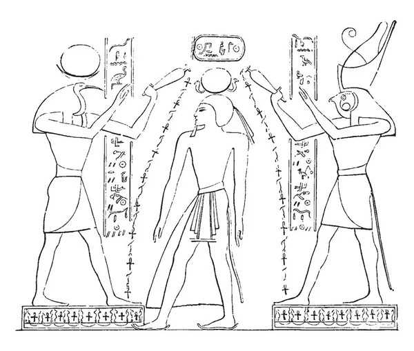 埃及的浮雕是在透特和荷鲁斯之间 复古线条画或雕刻插图 — 图库矢量图片