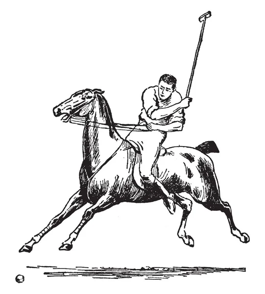 Hombre Está Jugando Juego Polo Está Sentado Caballo Lanza Una — Archivo Imágenes Vectoriales