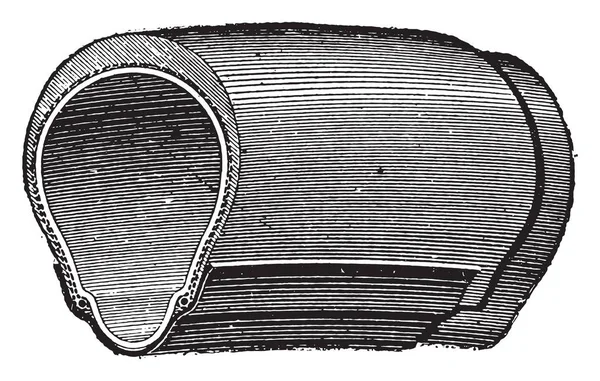 Pneumatiky Pruty Vintage Gravírovanou Průmyslové Encyklopedii Lami 1875 — Stockový vektor