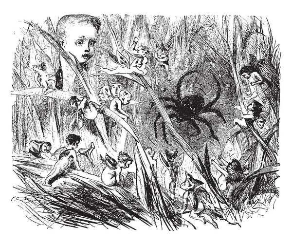 Fairies Scene Shows Small Fairies Surrounding Spider Child Looking Them — Stockvector