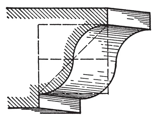 Cyma Recta Une Moulure Romaine Moulage Double Courbure Courbe Est — Image vectorielle