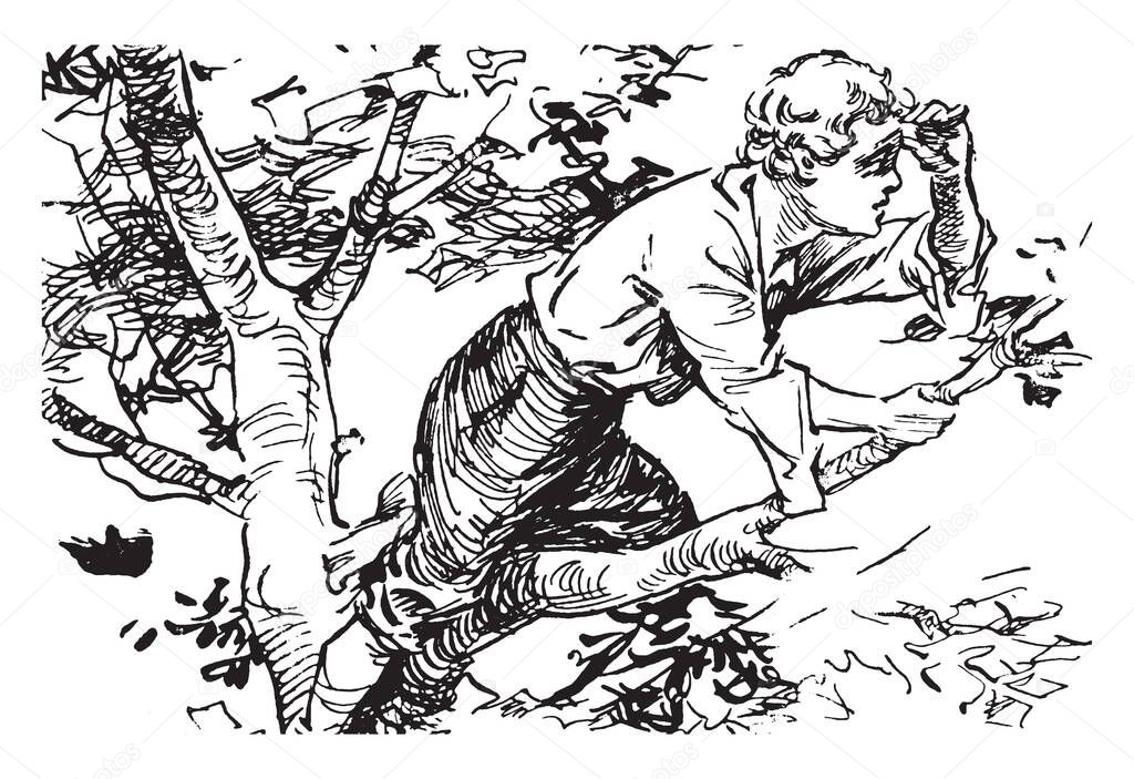 Little Lombard Sentinel, this picture shows a boy on tree and looking at something, vintage line drawing or engraving illustration