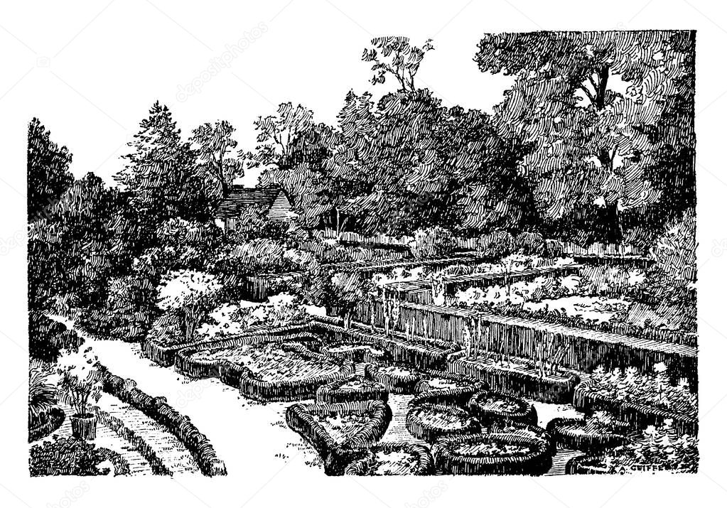 This Is A Garden Surrounded By Many Flowers And Trees Vintage Line Drawing Or Engraving Illustration Premium Vector In Adobe Illustrator Ai Ai Format Encapsulated Postscript Eps Eps Format