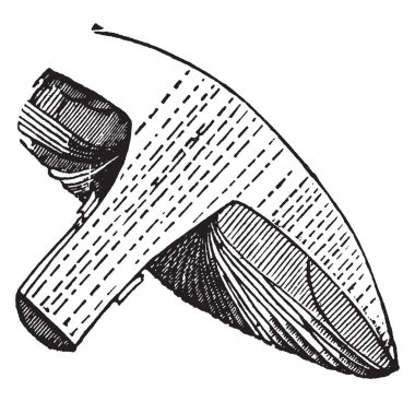 Mantar bir şemsiye gibi görünüyor. İki bölümden sap ve kap mantar vardır, SAP kök mantar ve ve yuvarlak büyüyen kap, vintage çizgi çizme veya oyma illüstrasyon.