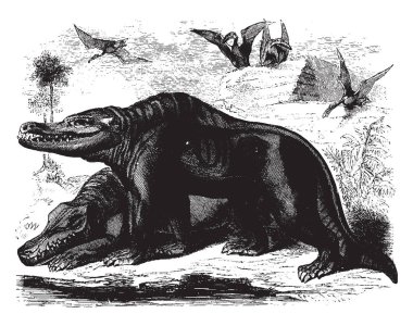 Megalosaurus hesabı da bir soyu tükenmiş uçan sürüngen cins pterozorlar, vintage çizgi çizme veya oyma illüstrasyon.
