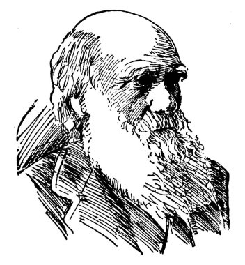 Charles Robert Darwin, İngiliz doğabilimci, jeolog ve biyolog, evrim, vintage çizgi çizme veya oyma illüstrasyon bilime katkıları için ünlü o 1809-1882, oldu