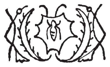 Herati tasarım tasarımlar balık ve Feraghan olarak bilinen, Herat eski şehir, vintage çizgi çizme veya oyma illüstrasyon kökenli.