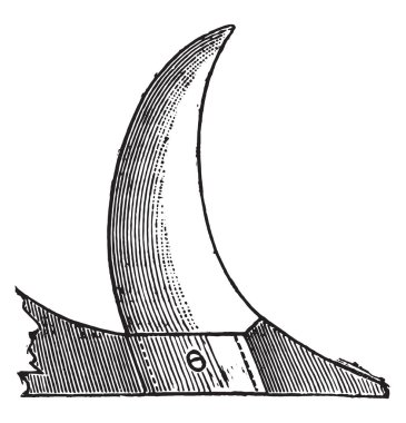 Coulter üye içbükey kenar, vintage kazınmış şekil vardır. Endüstriyel ansiklopedi E.-O. Lami - 1875