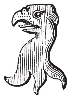 Bir kuş farklı renk tonu, vintage çizgi çizme veya oyma illüstrasyon olmanın Beaked kartal.