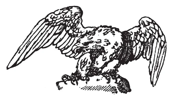 Zittend Eagle Een Modern Ontwerp Vintage Lijntekening Gravure Illustratie — Stockvector