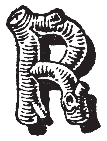 乡村字母设计中的字母 复古线条绘制或雕刻插图 — 图库矢量图片