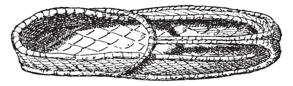 Mısır Ayakkabı Vintage Illüstrasyon Kazınmış — Stok Vektör