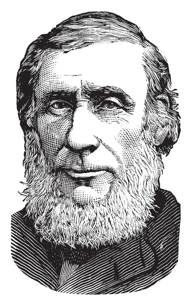 Prof John Tyndall 1820 1893 Était Éminent Physicien Irlandais Xixe — Image vectorielle