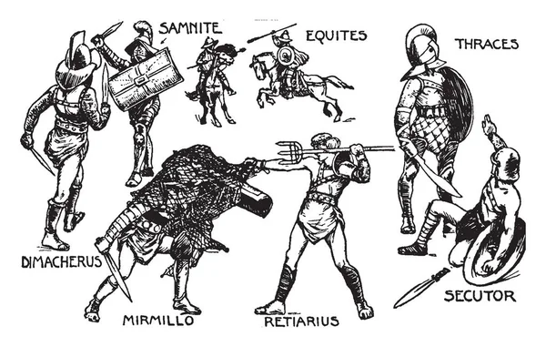 Sur Cette Image Existe Différents Types Gladiateurs Chaque Type Avec — Image vectorielle