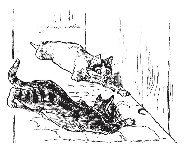 Kittens Est Chat Juvénile Dessin Ligne Vintage Illustration Gravure — Image vectorielle