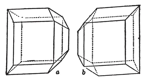 Este Diagrama Representa Cristais Enantimorfos Ácido Tartárico Desenho Linha Vintage — Vetor de Stock