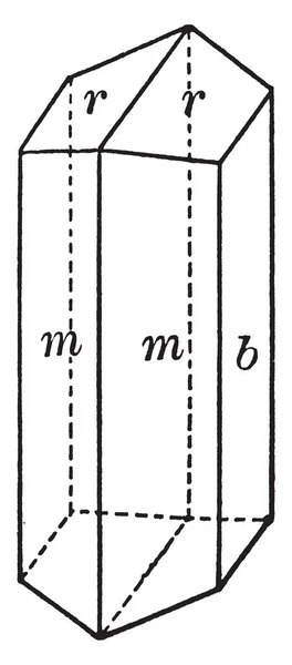 Det Här Diagrammet Representerar Amfibol Vintage Linje Ritning Eller Gravyr — Stock vektor
