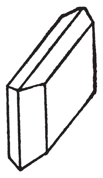 Dieses Diagramm Stellt Eine Monosymmetrische Alte Linienzeichnung Oder Gravierillustration Dar — Stockvektor
