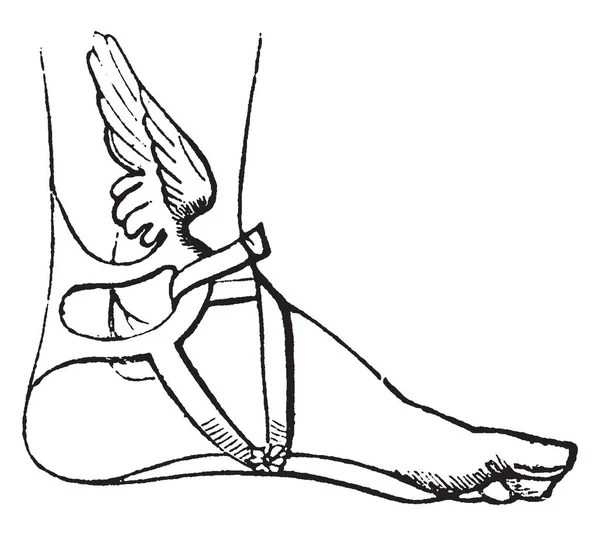 タラリア 水銀の足首に固定小さな翼 彼らのボディ フレーム ビンテージの線の描画や彫刻イラストの一部だったかのように 足首から育ったことを描いた古代の芸術作品が多くで表されます — ストックベクタ