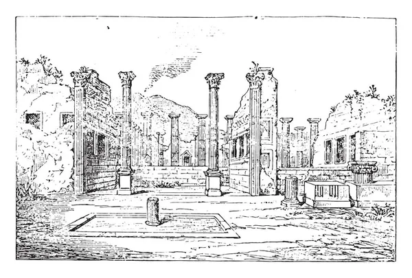 Peristyle는 유피테르의 빈티지 새겨진 1881의 — 스톡 벡터