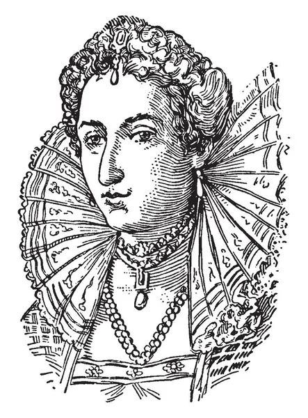 엘리자베스 1533 1603 그녀는 1558에서 1603 잉글랜드와 아일랜드의 그리고 빈티지 — 스톡 벡터