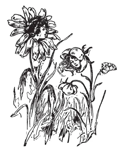 Ein Bild Zeigt Gänseblümchen Dies Ist Eine Blume Aus Gänseblümchen — Stockvektor