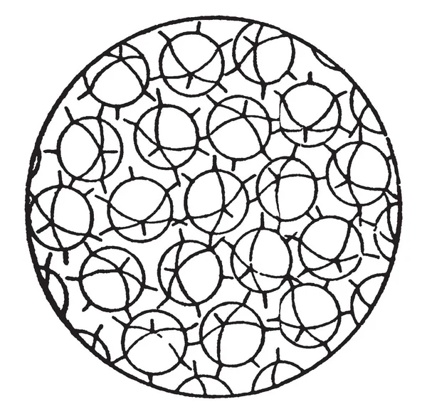 Dit Diagram Vertegenwoordigt Solid Staat Weergegeven Regelmatigheid Van Moleculaire Oriëntatie — Stockvector