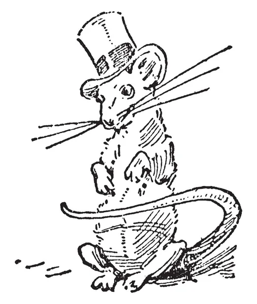 Rato Esta Imagem Mostra Rato Com Chapéu Cabeça Desenho Linha —  Vetores de Stock