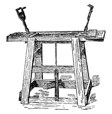 bitki görüntü. Vektör çizim