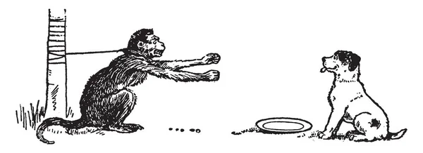 Der Affe Der Mit Einem Seil Eine Holzstange Gebunden Ist — Stockvektor