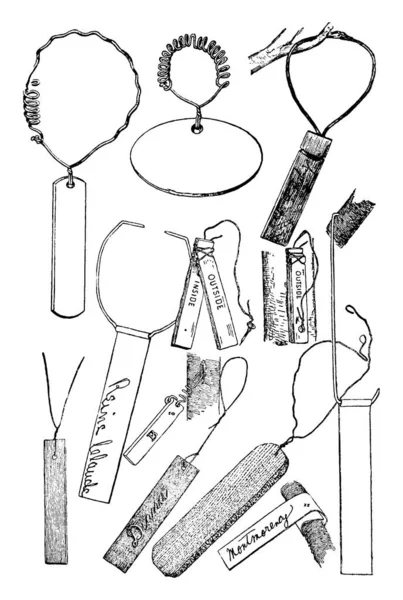 此插图表示各种类型的树标签 复古线条画或雕刻插图 — 图库矢量图片