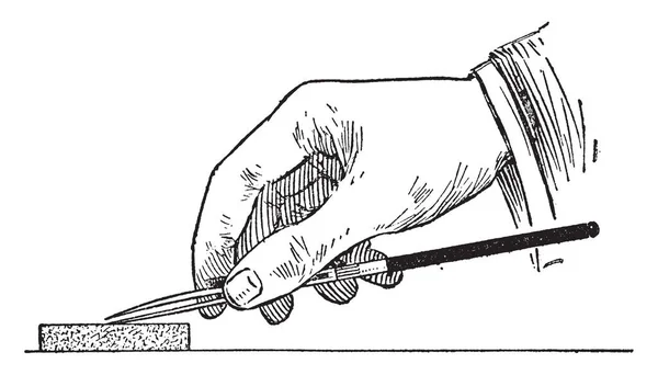 Position Pour Que Lettrage Déplace Vers Bas Avec Une Orientation — Image vectorielle