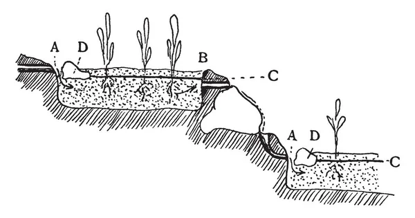 Esta Ilustración Representa Cómo Trabajar Sub Irrigation Arrangement Dibujo Línea — Vector de stock