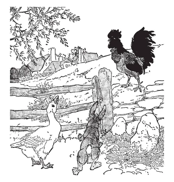 Eine Ente Und Ein Hase Beim Anblick Des Hahns Häuser — Stockvektor