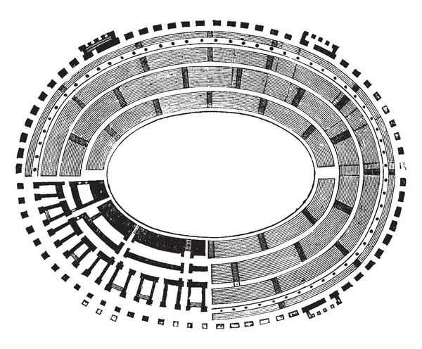 Mark Plan Colosseum Representation Nivåerna Säten Underkonstruktionen Formen Amfiteatern Var — Stock vektor