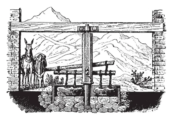 Illustration Represents Arrastre Which Rude Apparatus Used Mexico Vintage Line — Stock Vector