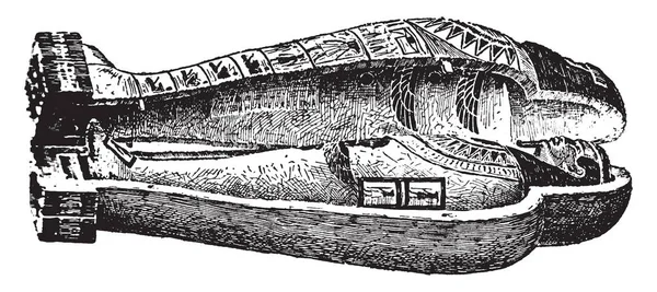 Mumie Este Decedat Sau Animal Ale Cărui Piele Organe Fost — Vector de stoc