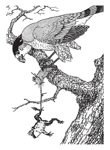 Uma Caindo Árvore Pássaro Falcão Ramo Árvore Segurando Mouse Nos —  Vetores de Stock