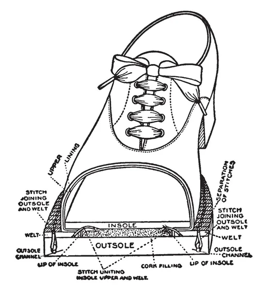 Части Welt Shoe Показывают Различные Части Рисунок Винтажных Линий Гравировка — стоковый вектор