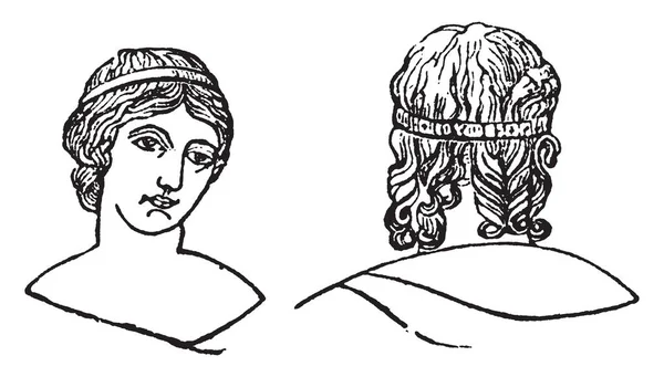 Vitta Обычная Часть Женского Платья Рисунок Винтажной Линии Гравировка — стоковый вектор