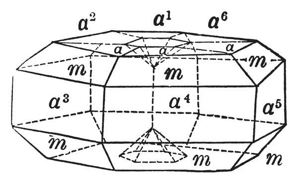 Este Diagrama Representa Hermanamiento Cíclico Rutile Dibujo Línea Vintage Ilustración — Archivo Imágenes Vectoriales