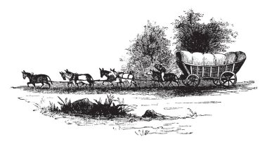 Dört tekerlekli araç fıçı hayvanlar tarafından veya zaman zaman insanlar, vintage çizgi çizme veya oyma illüstrasyon tarafından çekilen ağır bir karavanım.