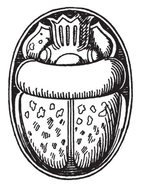 Scarabaeus taş bir scarab böceği, vintage çizgi çizme veya oyma illüstrasyon gibi bakmak için oyulmuş bir mücevher olduğunu.