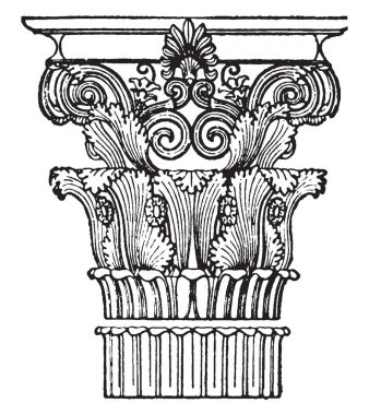 Yunan sermaye, Korint, Yunan şehir devleti Corinth, Callimachus, heykeltıraş tarafından oluşturulan çekti büyüyen, vintage çizgi çizme veya illüstrasyon oyma acanthus yaprakları. 