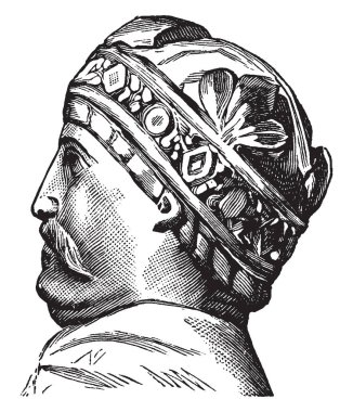 Profil Charlemagne, 742-814, Kutsal Roma İmparatoru, Franks, Lombardlar ve İmparator Romalılar, vintage çizgi çizme veya oyma illüstrasyon kralı kral oldu