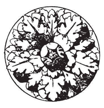 Antik Roma, vintage çizgi çizme veya oyma illüstrasyon rozet olduğunu.